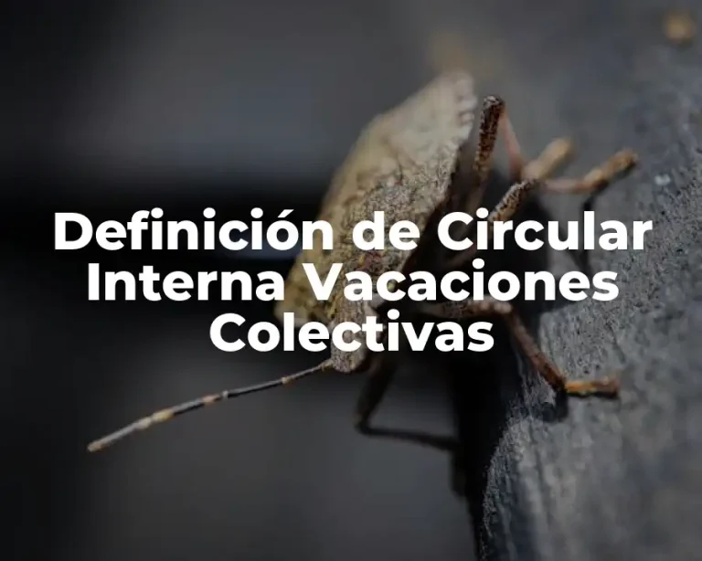 Definición de Circular Interna Vacaciones Colectivas