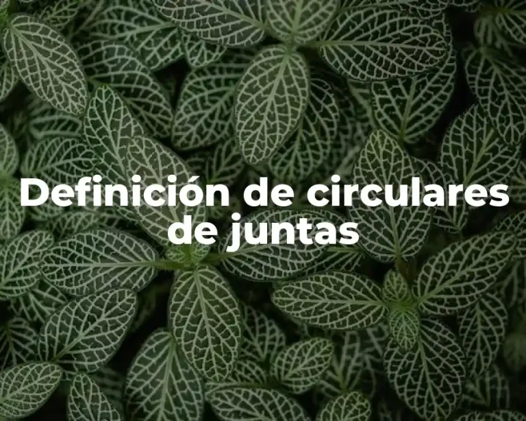 Definición de circulares de juntas