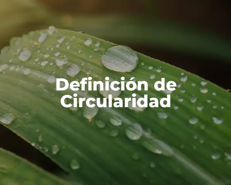 Definición de Circularidad