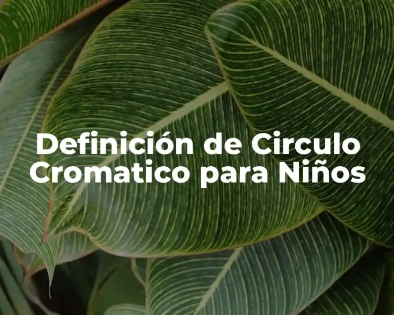 Definición de Circulo Cromatico para Niños