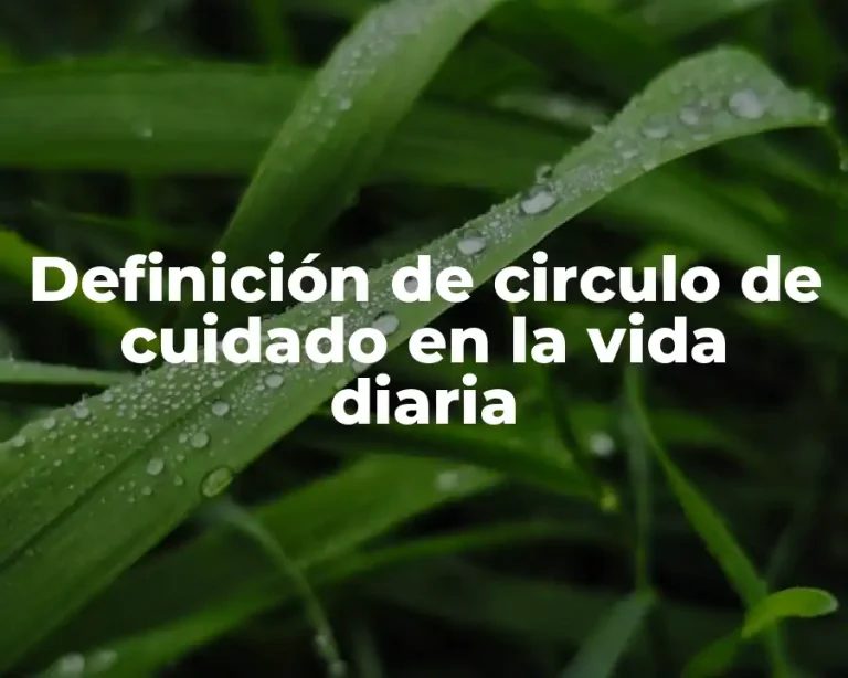 Definición de circulo de cuidado en la vida diaria