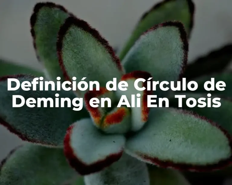 Definición de Círculo de Deming en Ali En Tosis