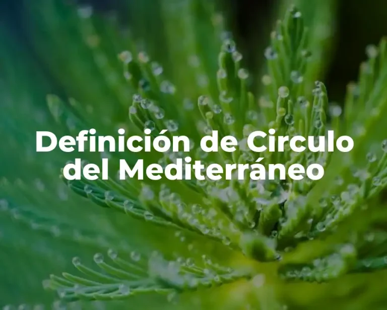 Definición de Circulo del Mediterráneo
