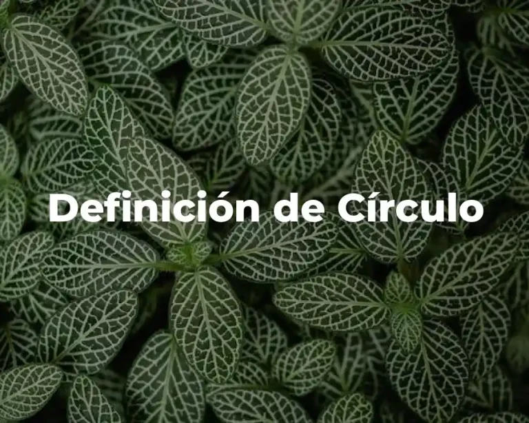 Definición de Círculo