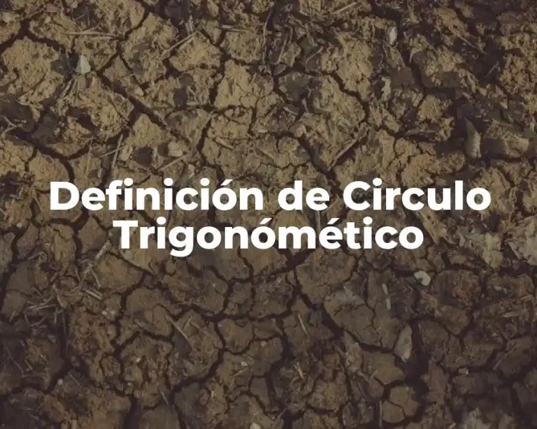 Definición de Circulo Trigonómético
