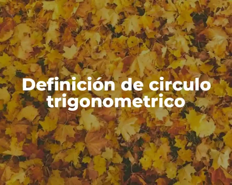 Definición de circulo trigonometrico