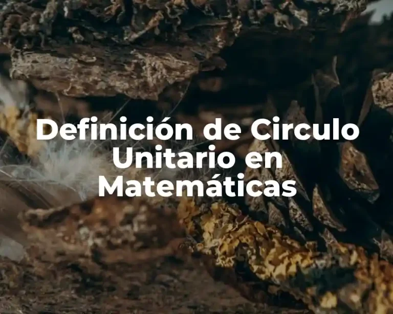 Definición de Circulo Unitario en Matemáticas