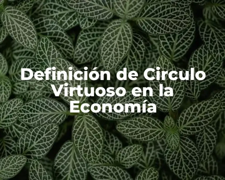 Definición de Circulo Virtuoso en la Economía