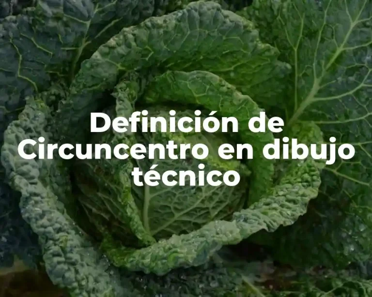 Definición de Circuncentro en dibujo técnico