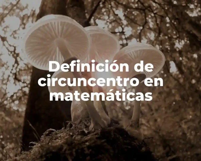 Definición de circuncentro en matemáticas
