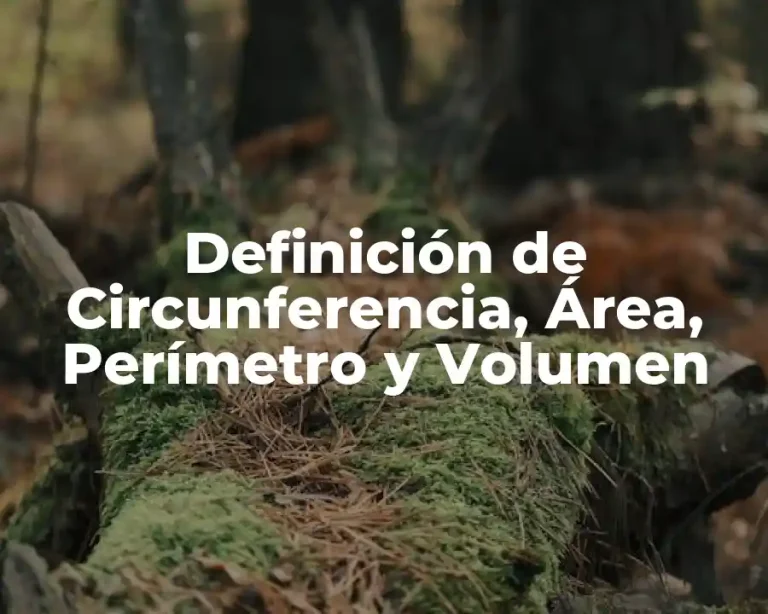 Definición de Circunferencia, Área, Perímetro y Volumen