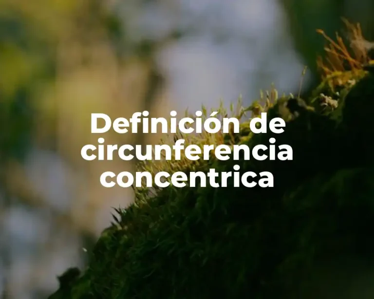 Definición de circunferencia concentrica