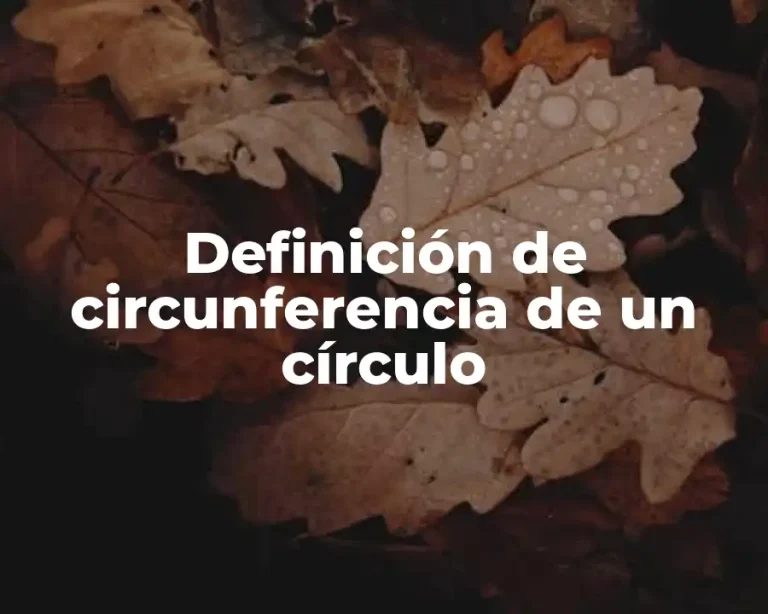 Definición de circunferencia de un círculo
