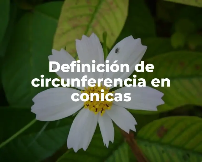 Definición de circunferencia en conicas