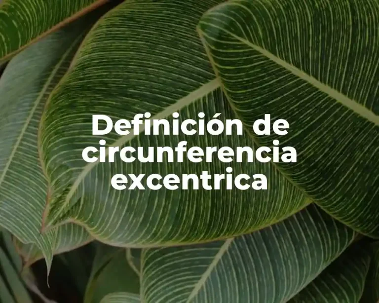 Definición de circunferencia excentrica