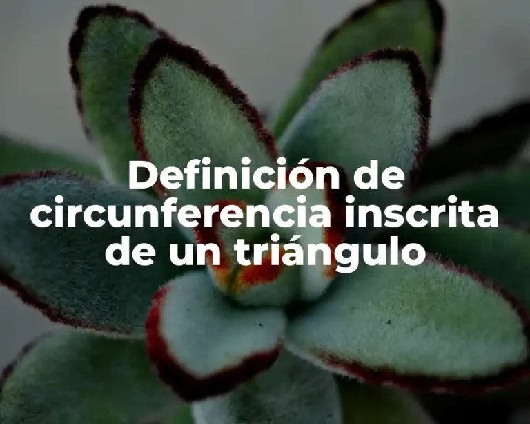 Definición de circunferencia inscrita de un triángulo