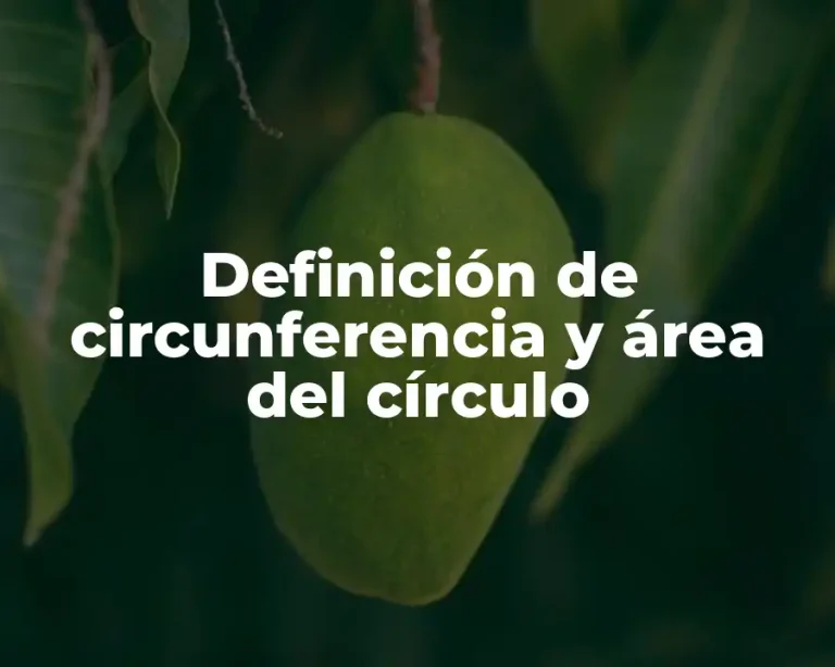 Definición de circunferencia y área del círculo