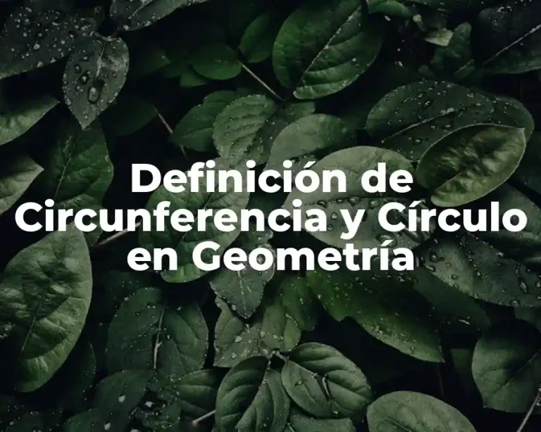 Definición de Circunferencia y Círculo en Geometría