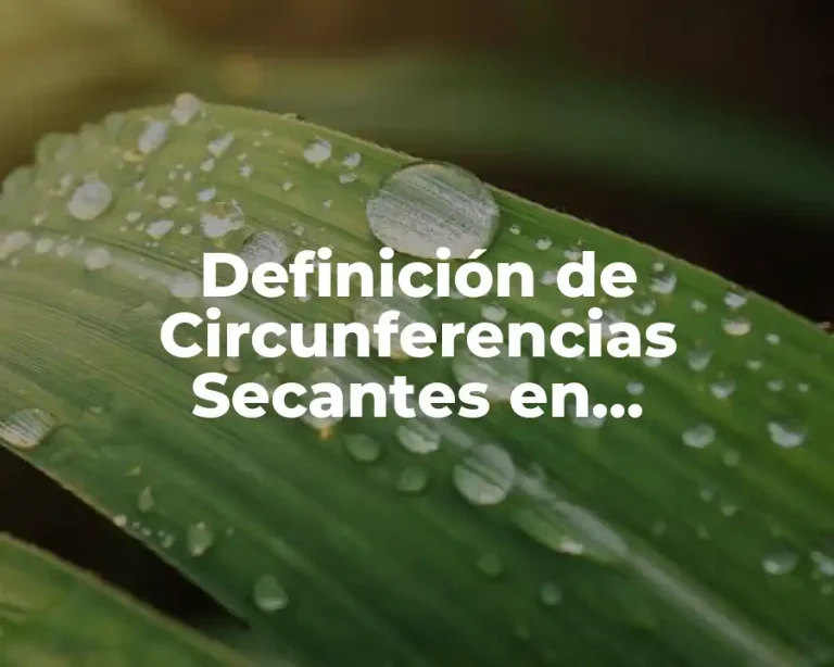 Definición de Circunferencias Secantes en Matemáticas
