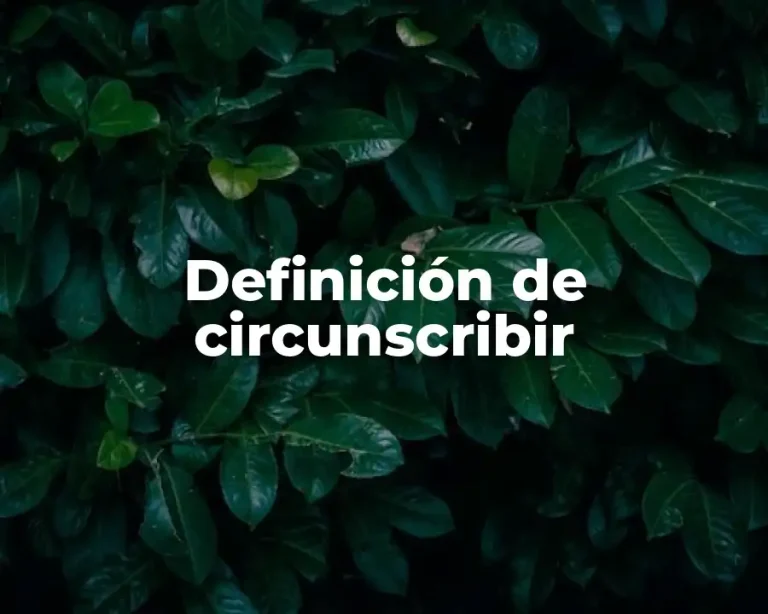 Definición de circunscribir