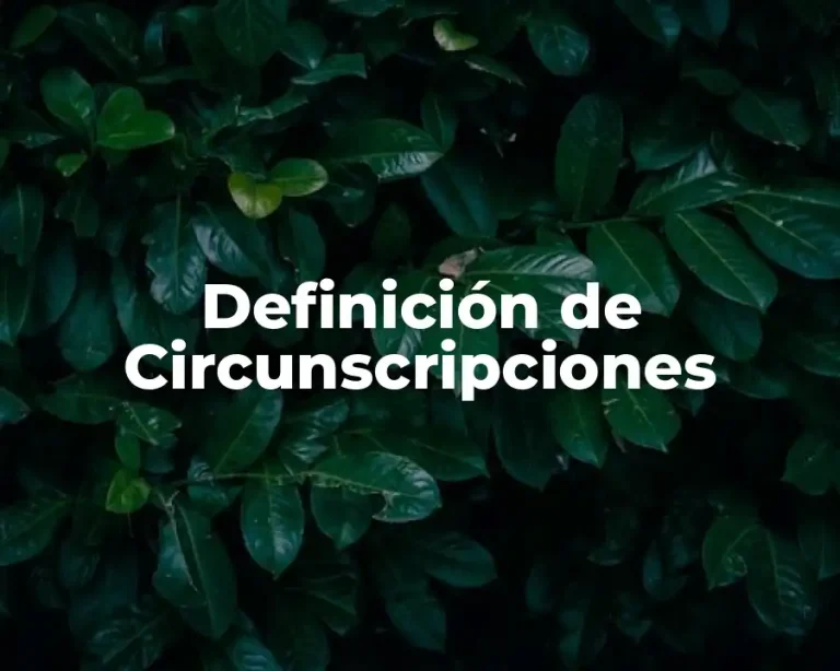 Definición de Circunscripciones