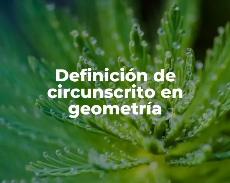 Definición de circunscrito en geometría