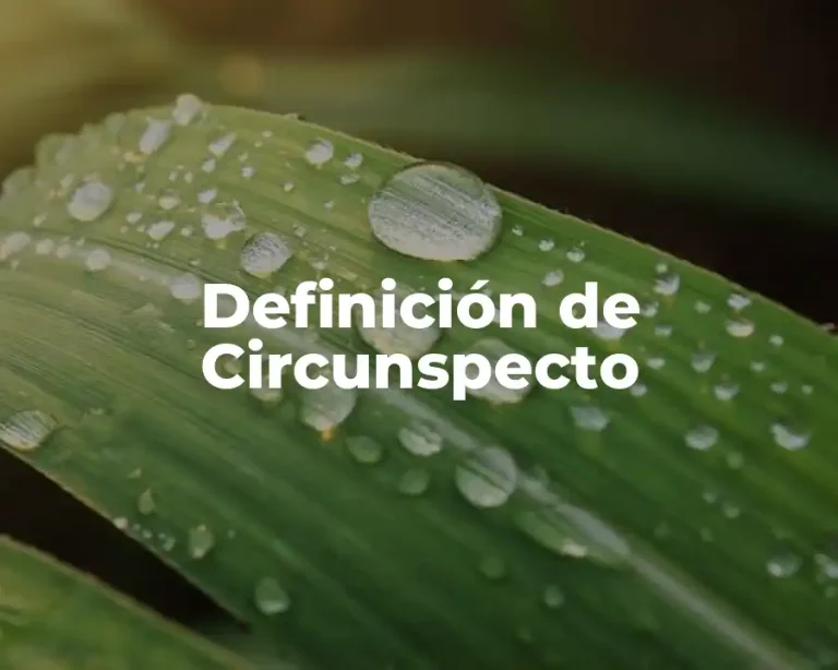 Definición de Circunspecto