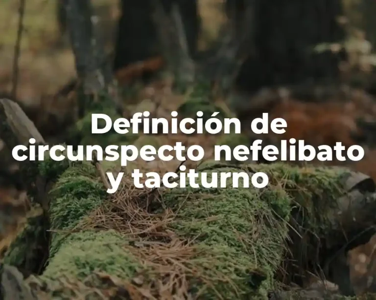Definición de circunspecto nefelibato y taciturno