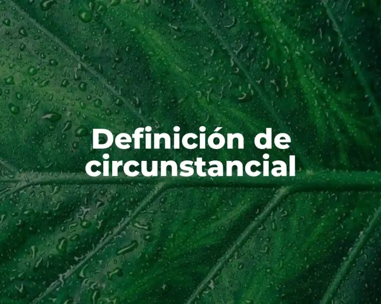 Definición de circunstancial