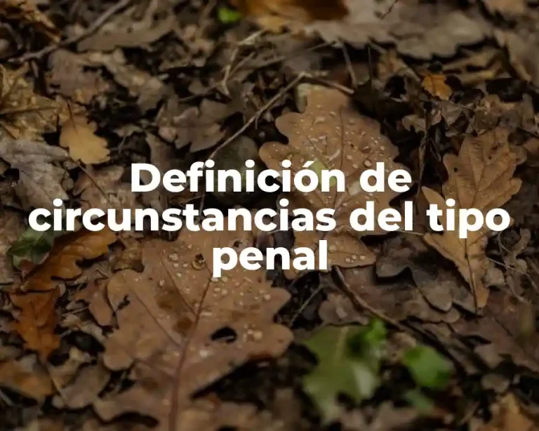 Definición de circunstancias del tipo penal