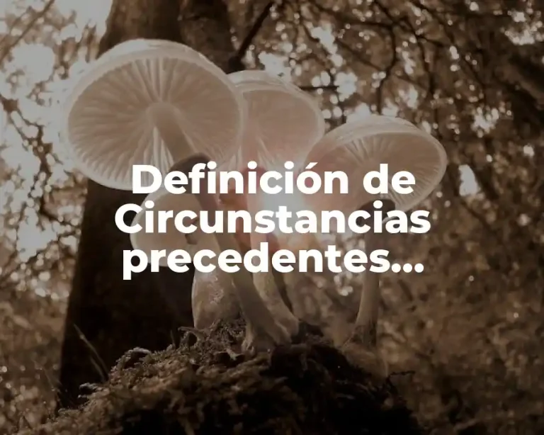 Definición de Circunstancias precedentes, concomitantes y posteriores