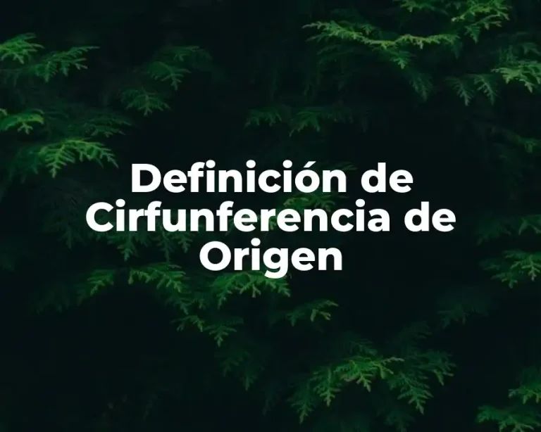 Definición de Cirfunferencia de Origen