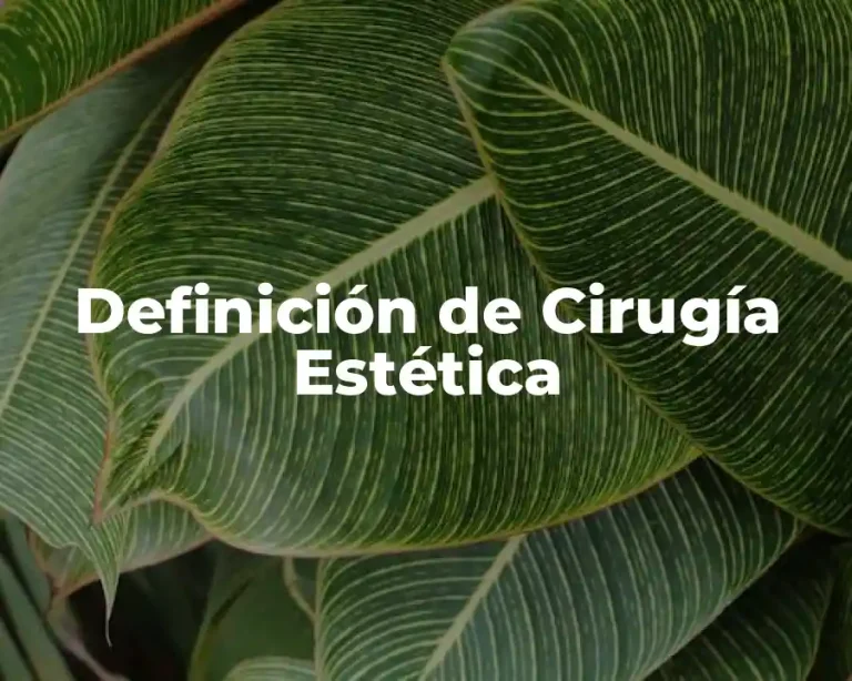 Definición de Cirugía Estética