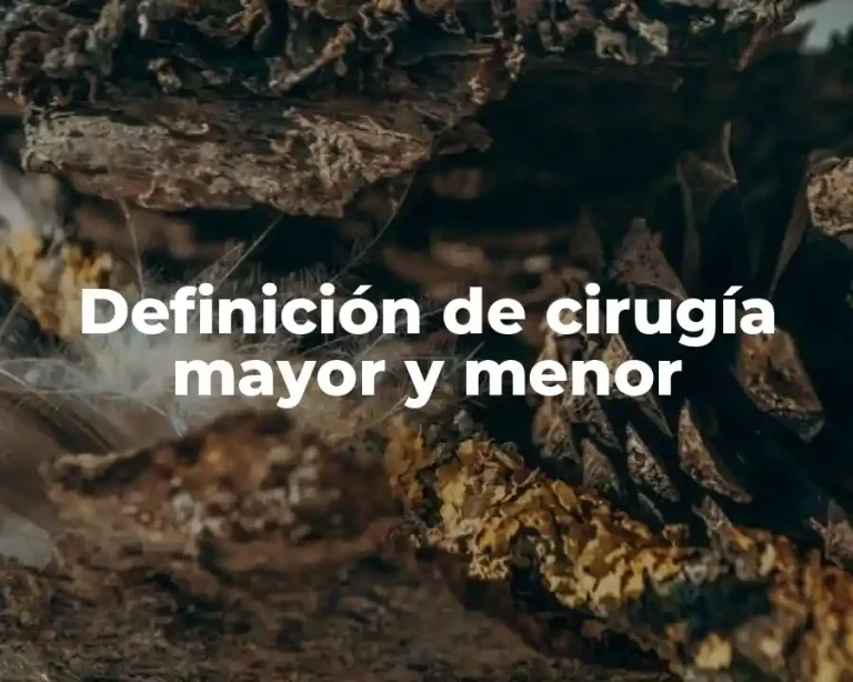 Definición de cirugía mayor y menor