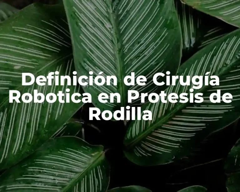Definición de Cirugía Robotica en Protesis de Rodilla