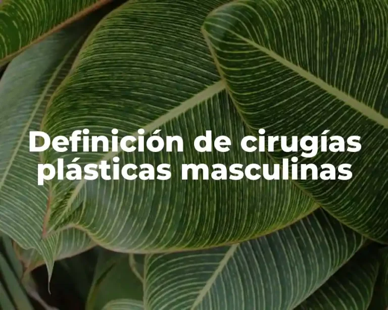 Definición de cirugías plásticas masculinas
