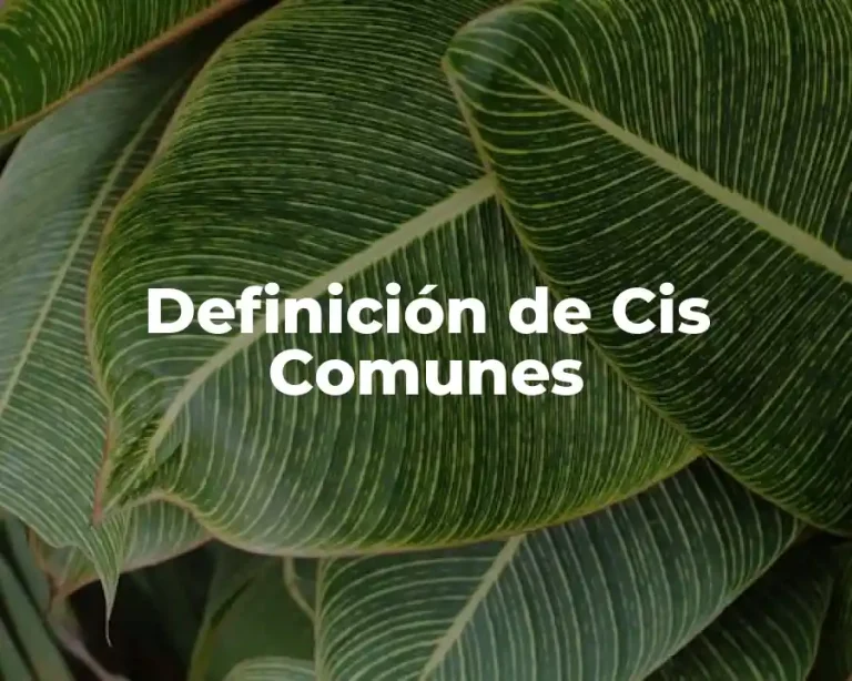 Definición de Cis Comunes