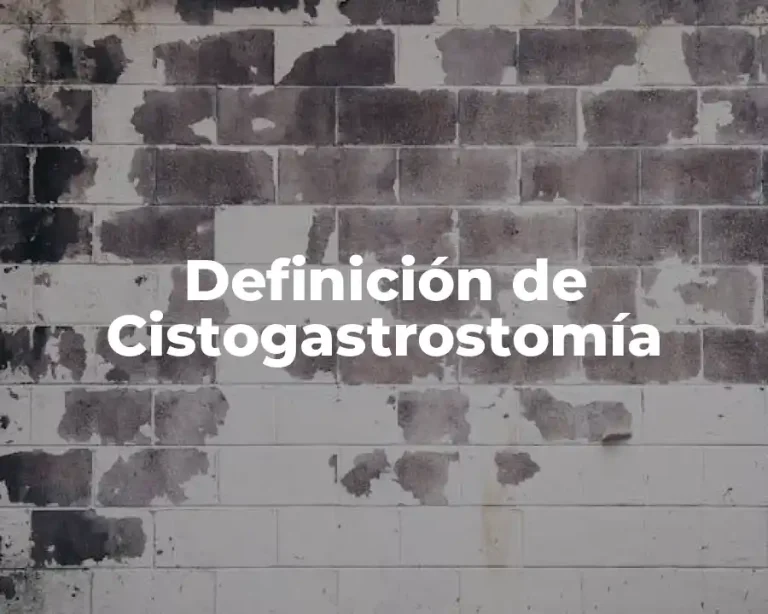Definición de Cistogastrostomía