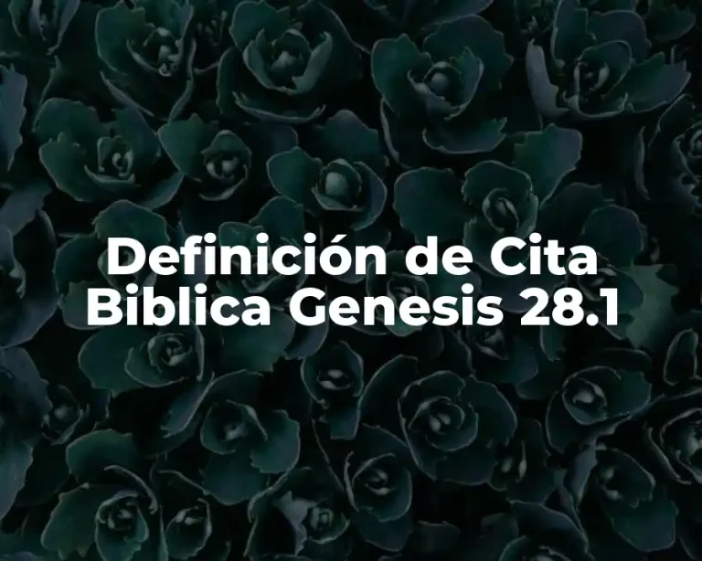 Definición de Cita Biblica Genesis 28.1