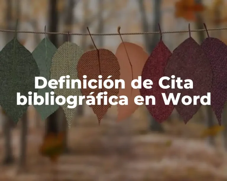 Definición de Cita bibliográfica en Word