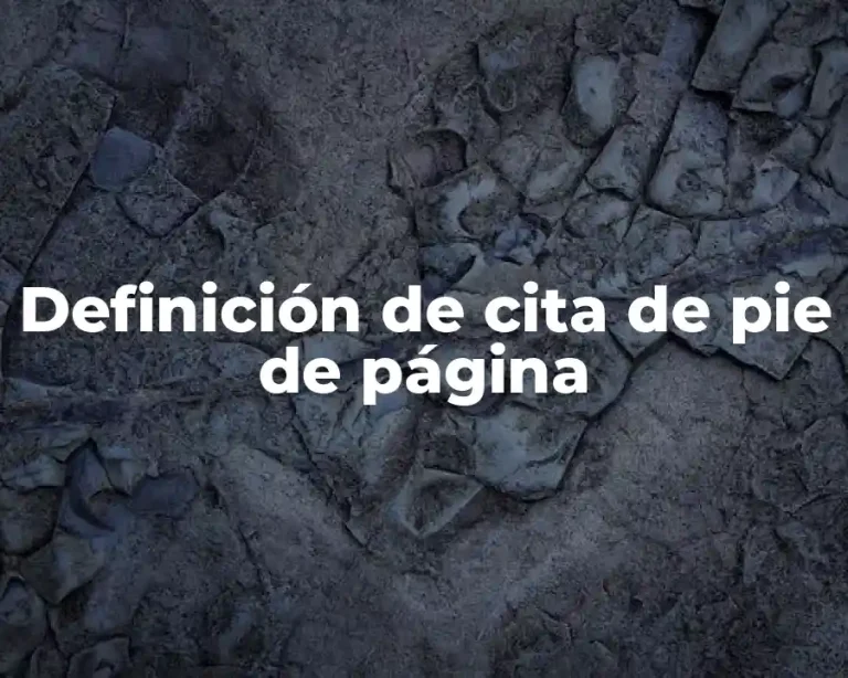 Definición de cita de pie de página