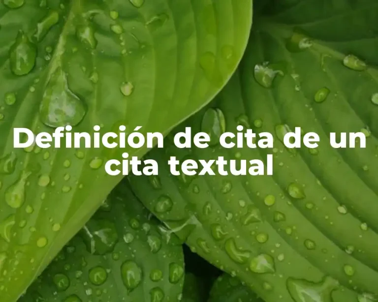 Definición de cita de un cita textual