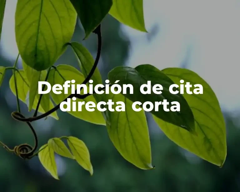 Definición de cita directa corta