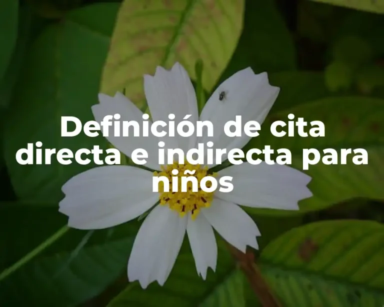 Definición de cita directa e indirecta para niños