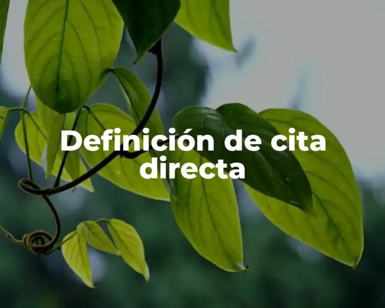 Definición de cita directa
