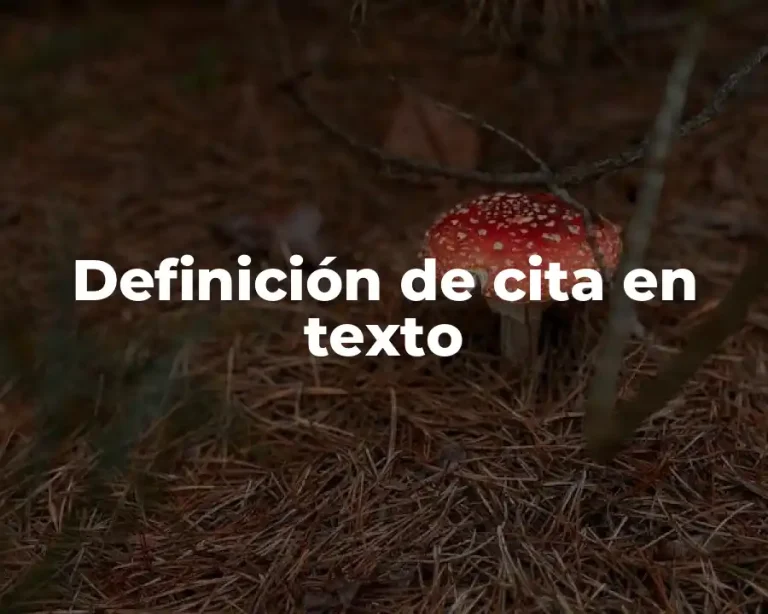 Definición de cita en texto