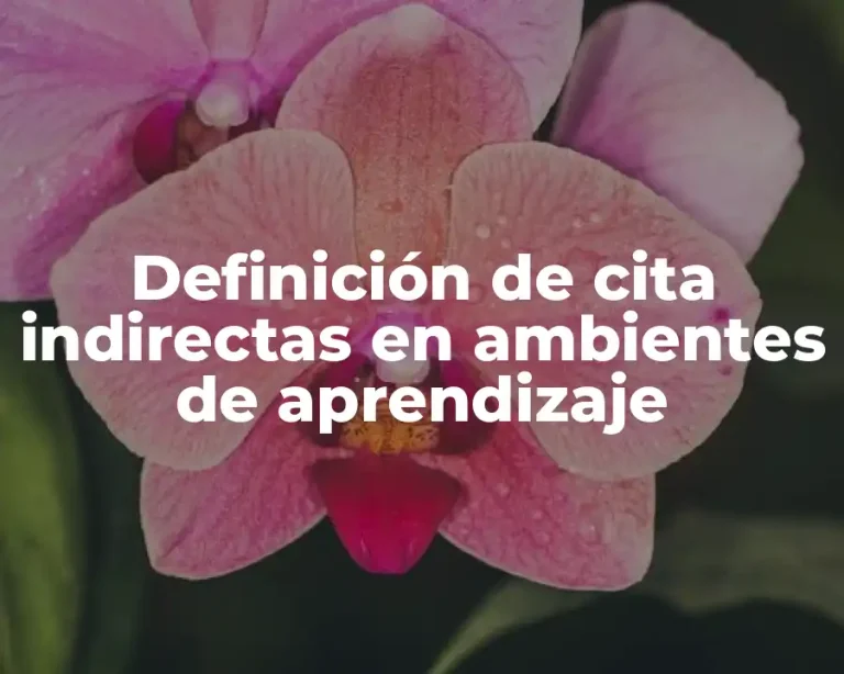 Definición de cita indirectas en ambientes de aprendizaje