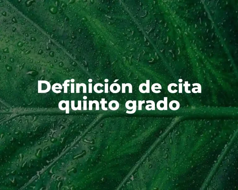 Definición de cita quinto grado