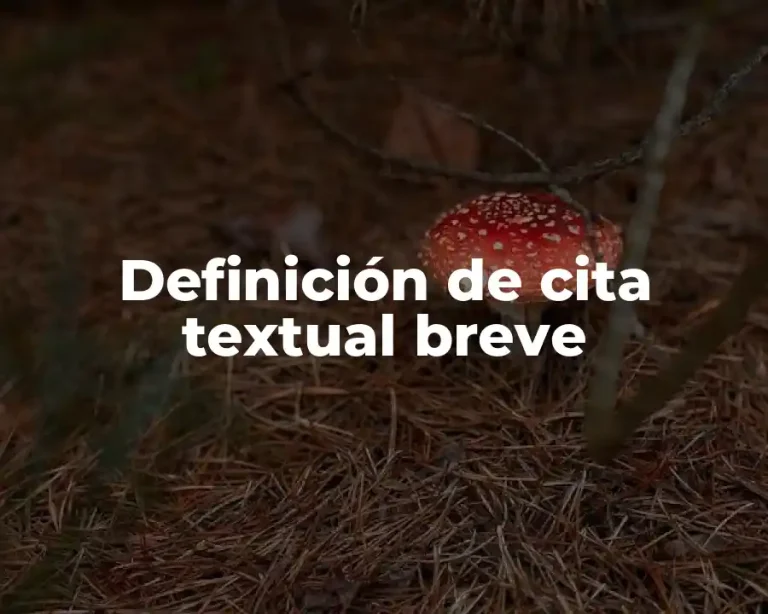 Definición de cita textual breve
