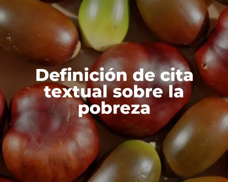 Definición de cita textual sobre la pobreza